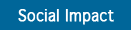 Elsa Social Impact